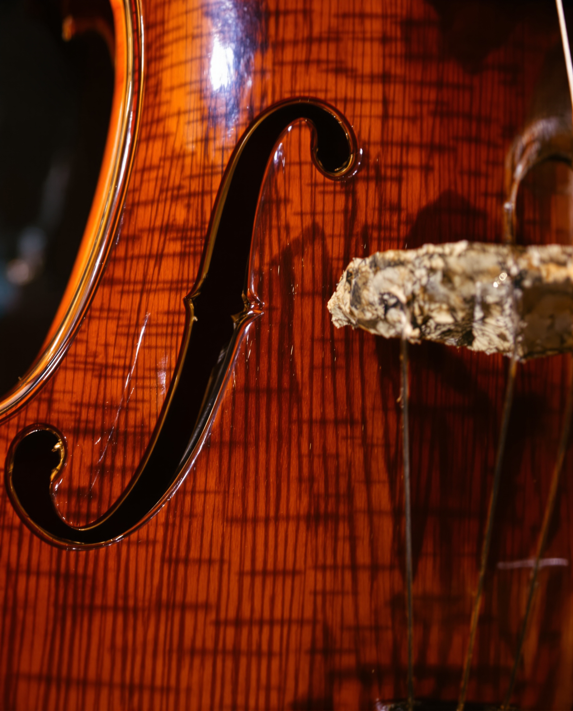 Patine naturelle sur vernis de violoncelle ancien
