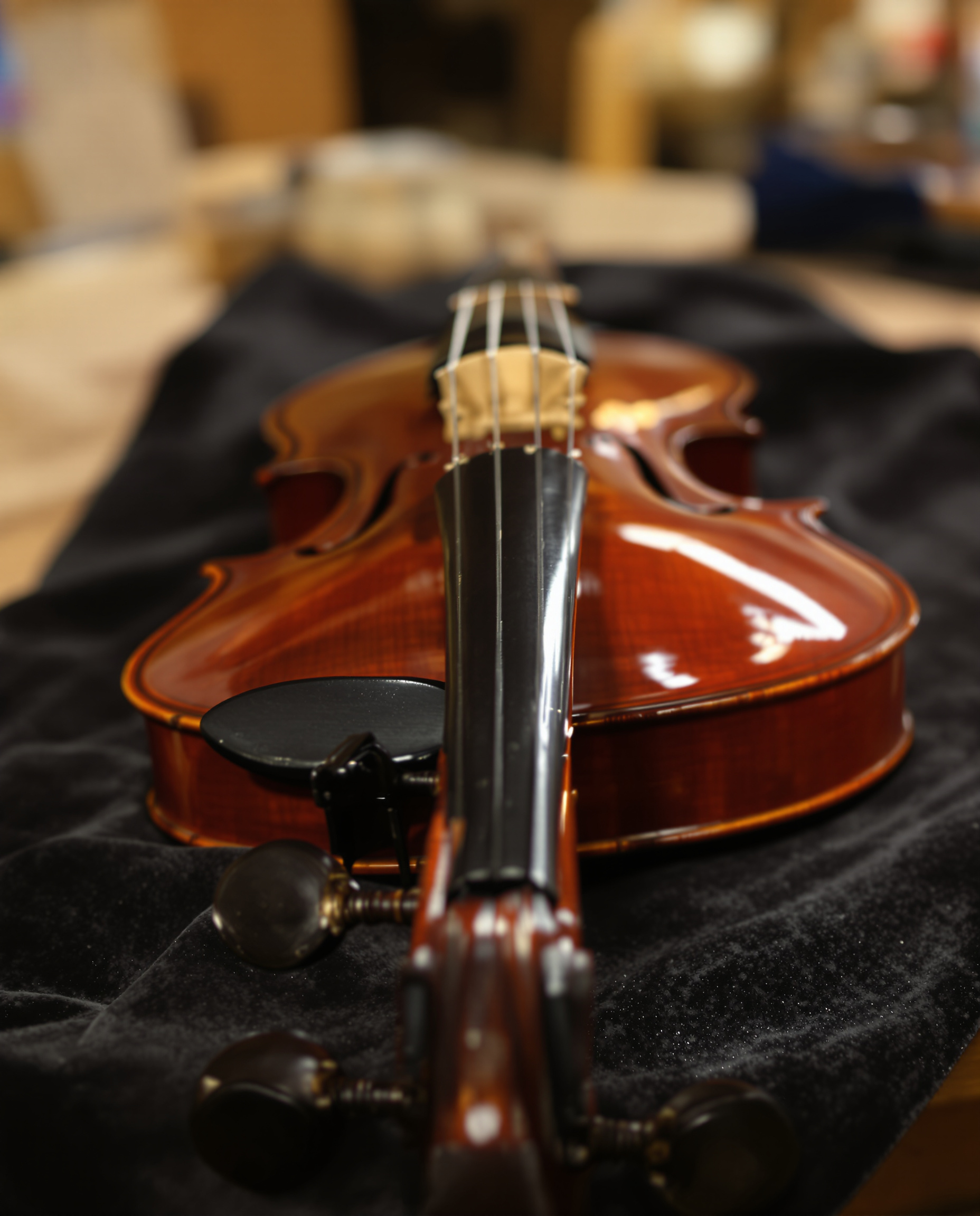 Gros plan sur un violon achevé sur velours sombre dans un atelier.