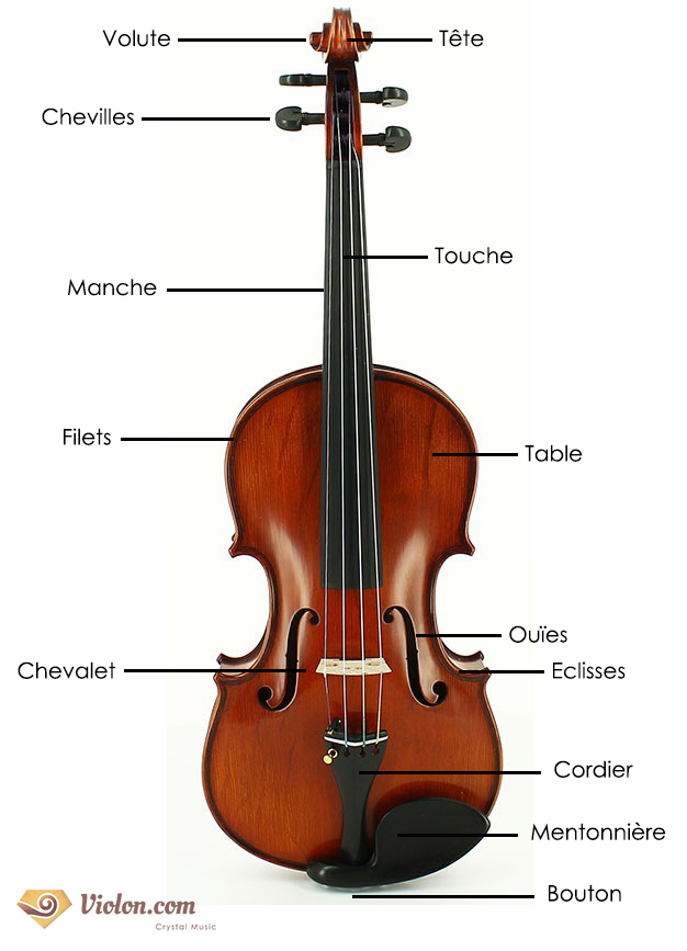Schéma annoté des zones critiques sur la table d’harmonie d’un instrument à cordes.